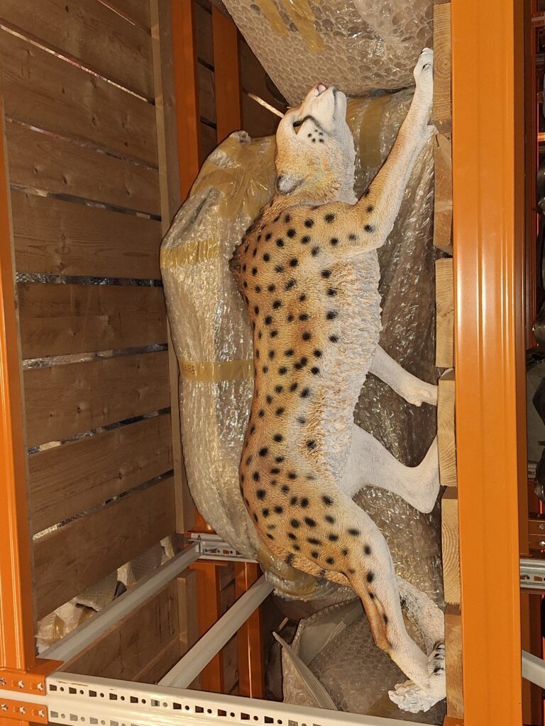 Panter sluipend 125cm