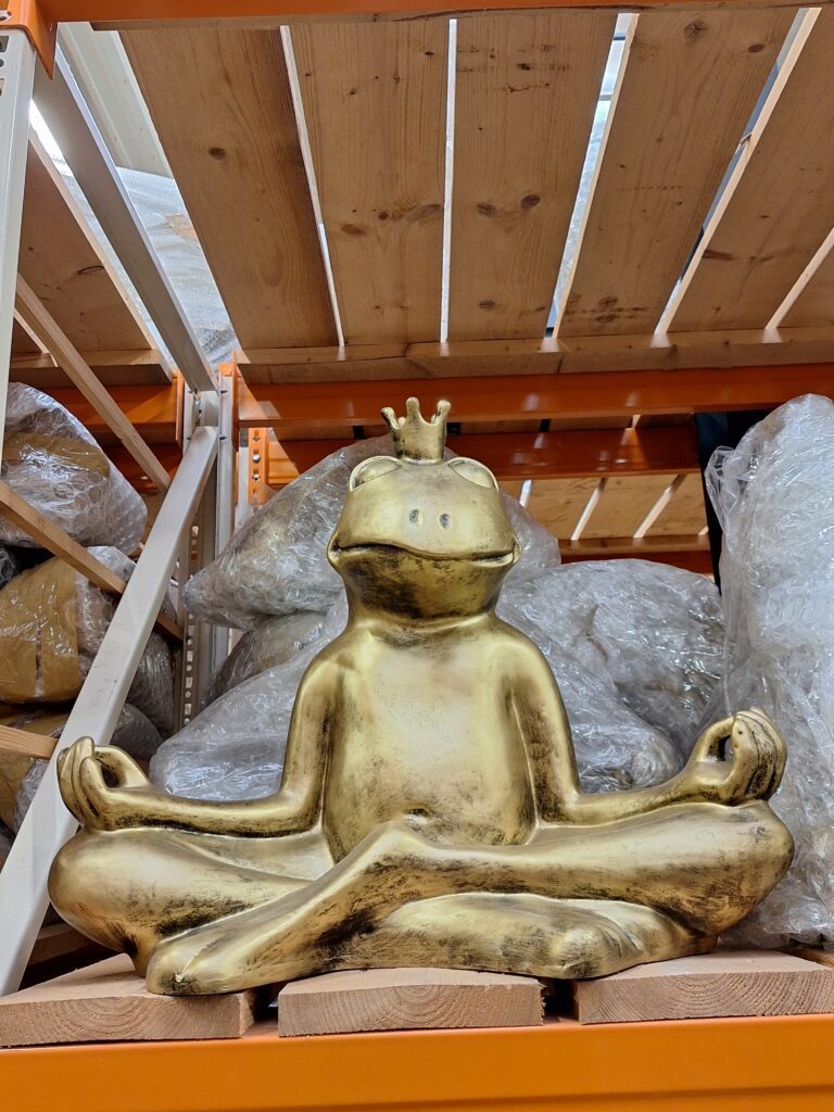 Kikker zit zen